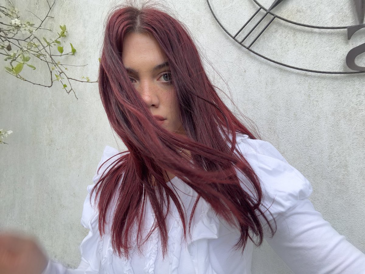 ALESSI ROSE tweet media