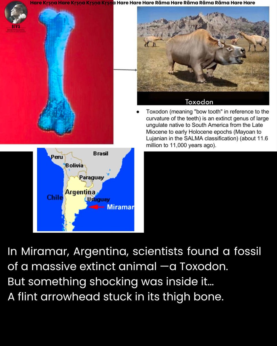 Bhaktivedanta Institute of Vedic Science tweet media