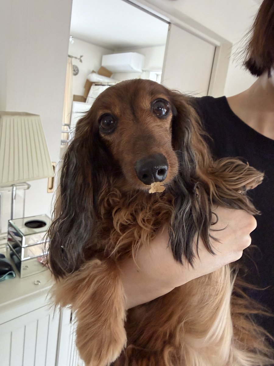 海@Re:still tweet media