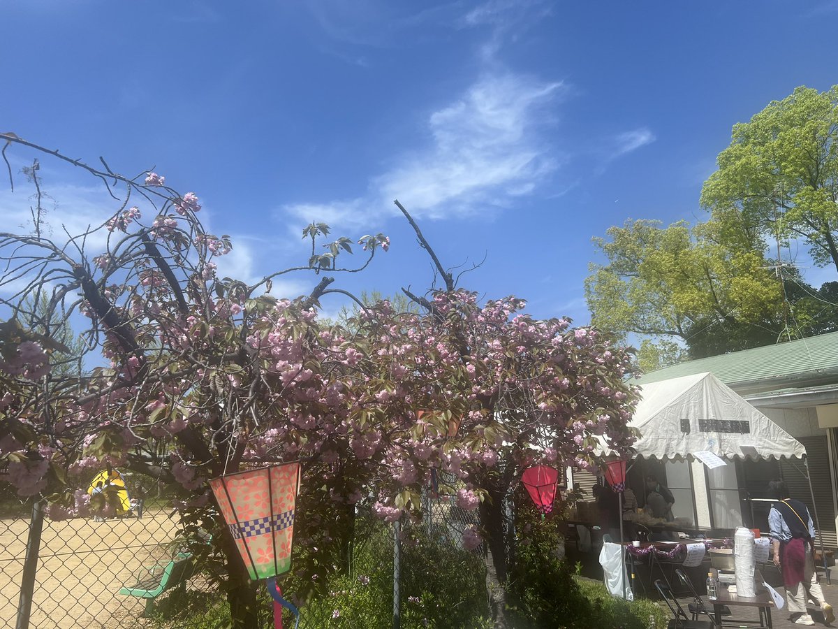 00847272's tweet photo. 各町会・団体が開催されておられる花見会に呼んで頂きました。
各所にて様々なご意見等頂戴しました。
参加させて頂きありがとうございました。 https://t.co/EJZ0ccGAcD