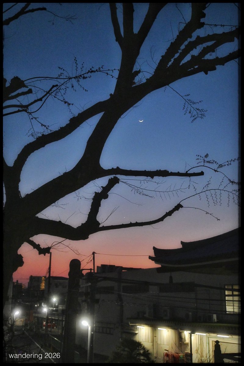 wandering 2026 tweet media