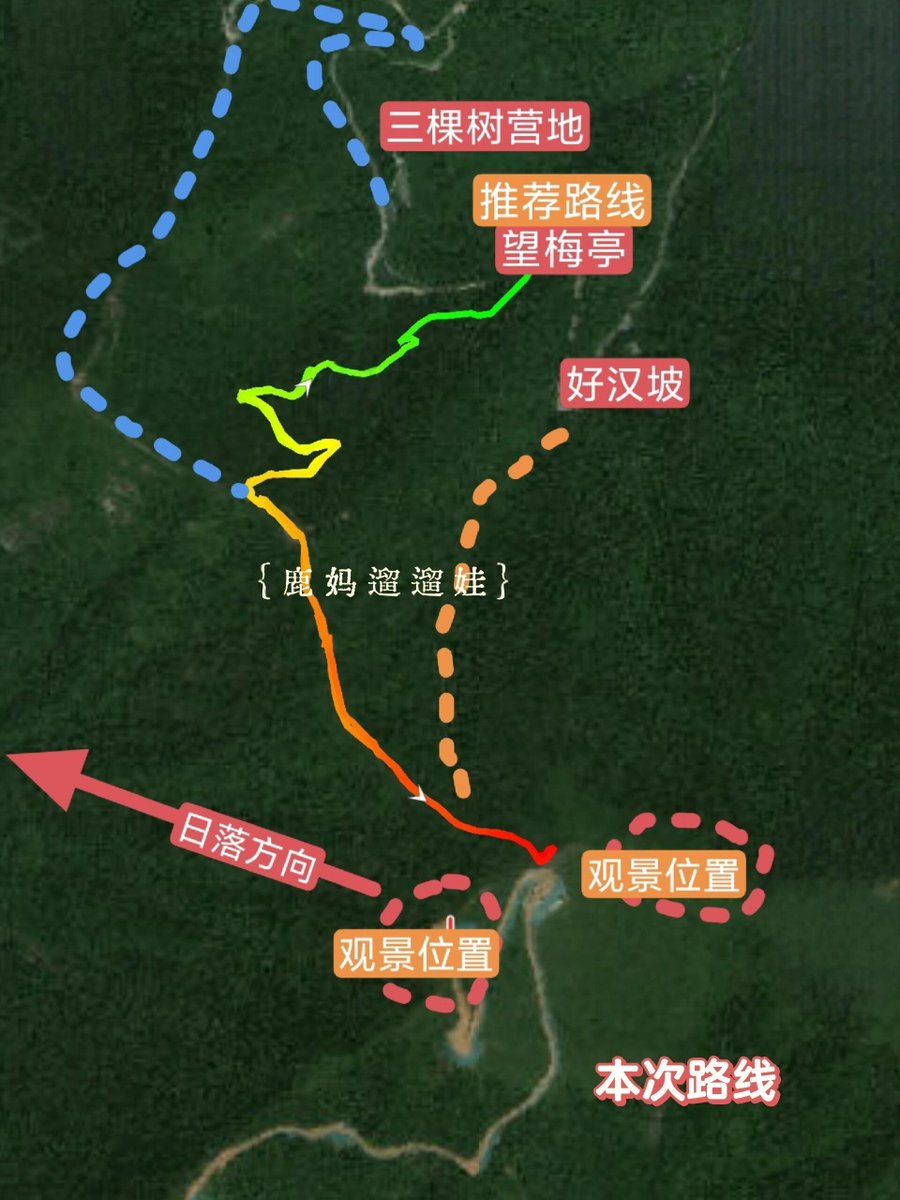 Bird Call tweet media