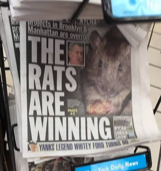 🌟 BadaForce, Sentinel Of The Stars 🌟 tweet media