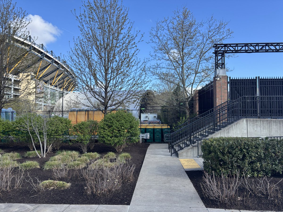 SCCTradingCards's tweet image. Happy 412 Day to all of our friends in the Steel City!

Speaking of Pittsburgh… we have something big in the works… 

Stayed tuned 👀

#NFLDraft #2026NFLDraft #TheHobby