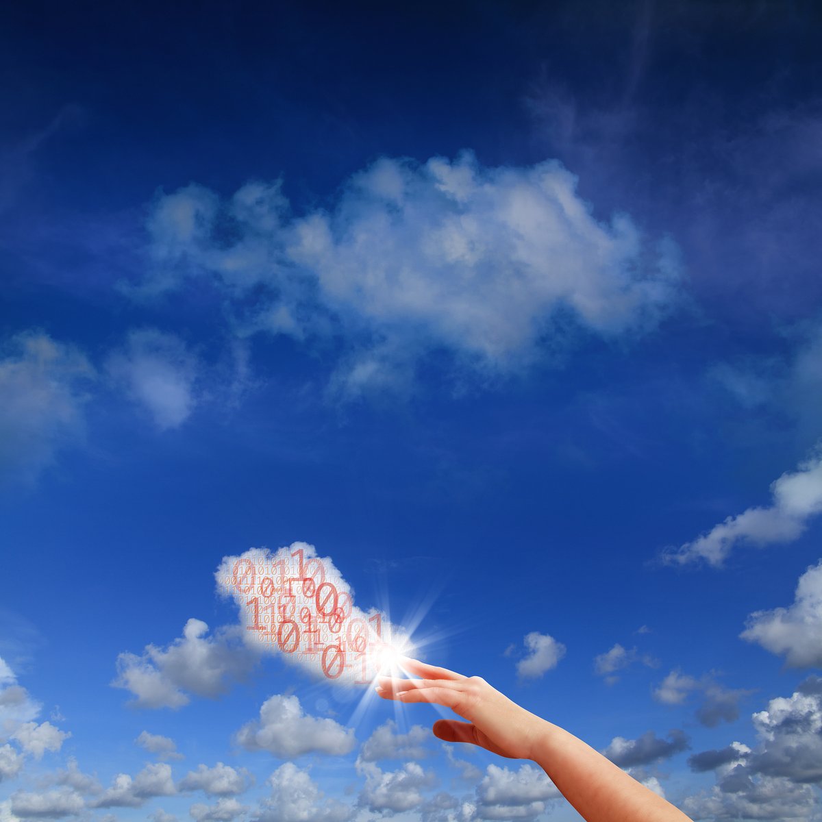 bridget mcbride tweet media