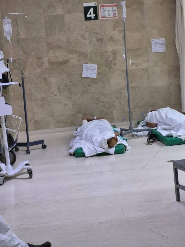 Guerrero_9999's tweet photo. El único que disfruta Dinamarca es el enfermo mental que se mandó construir un hospital en Palenque. https://t.co/w3XD2Qty34