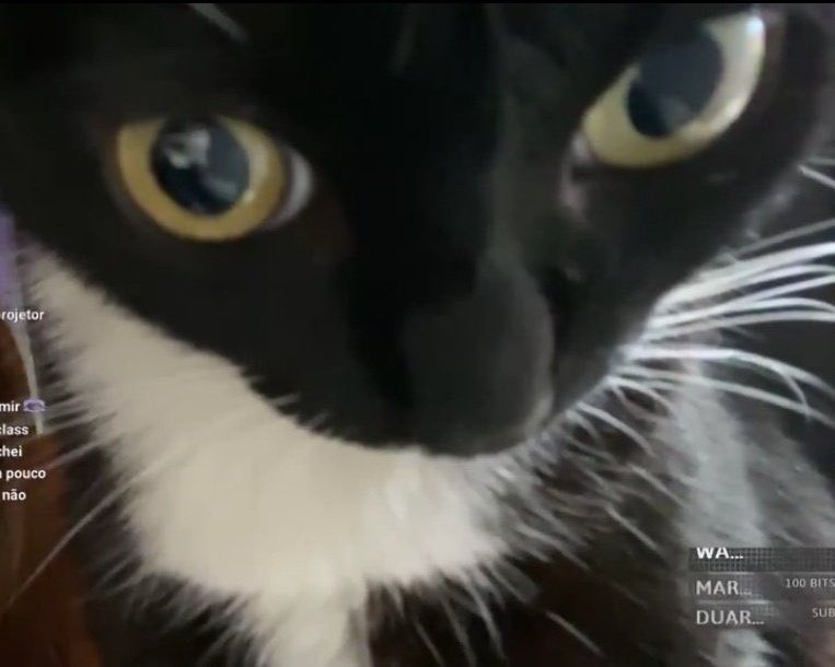 Skyfall 🇱🇹 #SarasBallEnjoyer tweet media