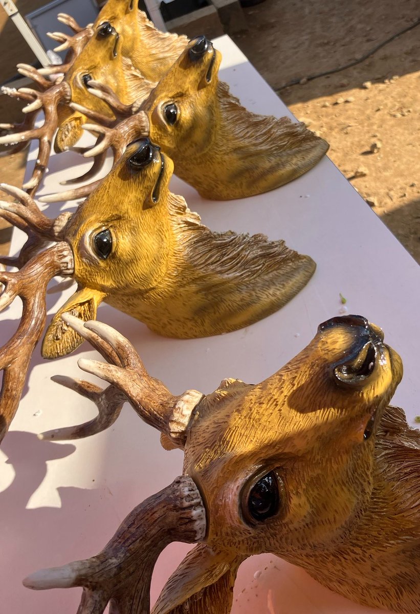 ℛ𝓎ℴ𝓀ℴ tweet media