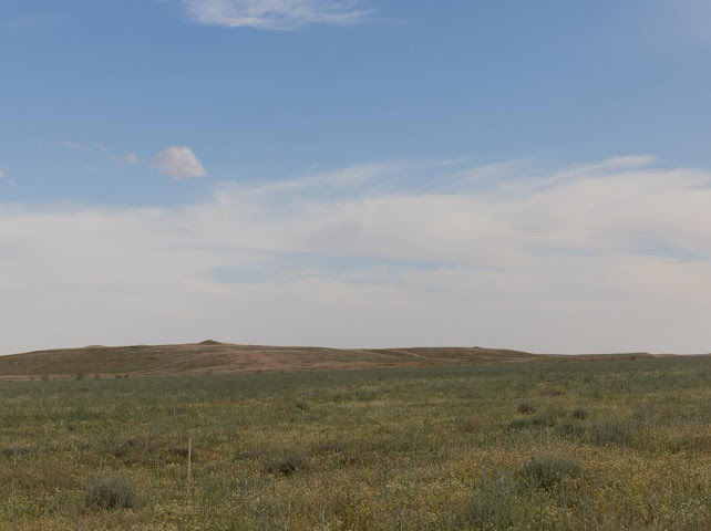 الحدود الشمالية tweet media