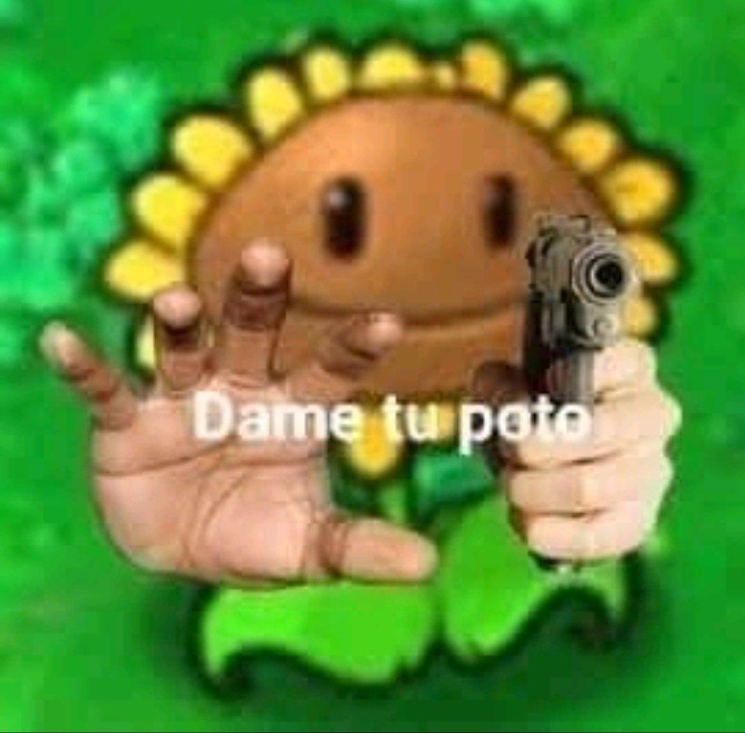 Arcano77 tweet media