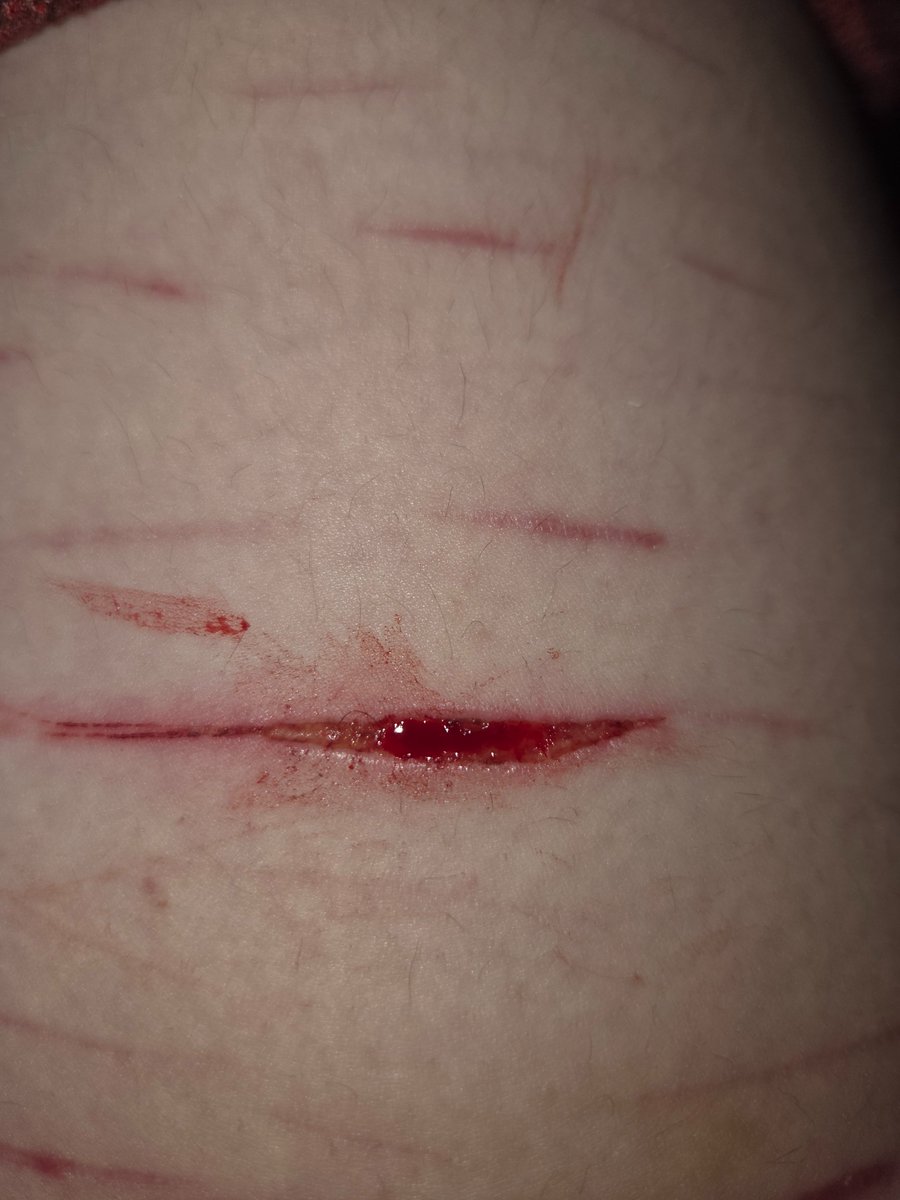 ₍^. .^₎Ⳋ | meep ⊱ ۫ ׅ #shtwt ✧ ⊹ tweet media