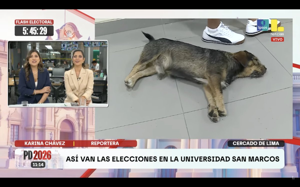 nayeli 🧚🏽♀️ tweet media