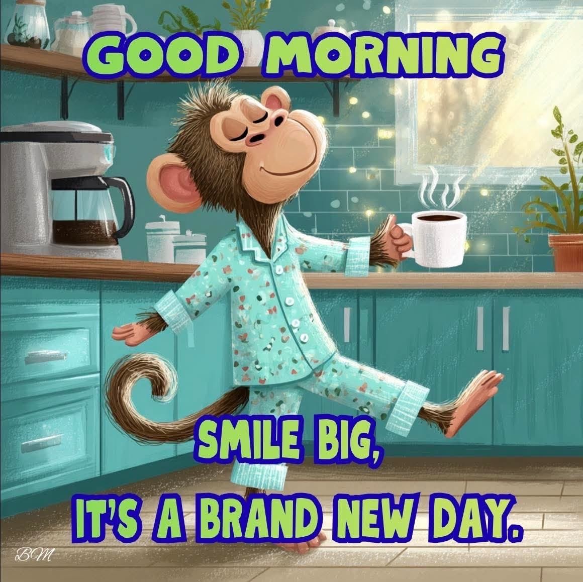 David 🇺🇸 tweet media