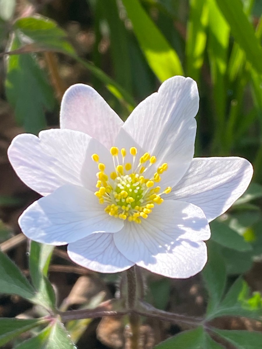 Michelle Clarke tweet media