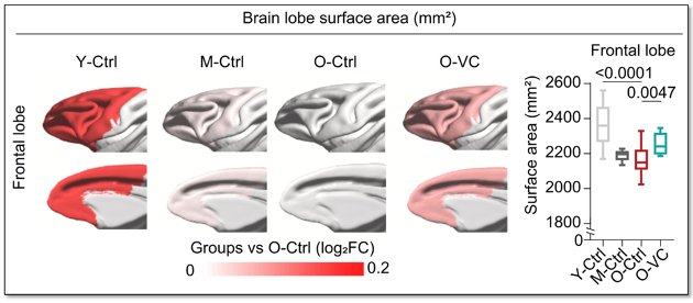 Nick Norwitz MD PhD tweet media