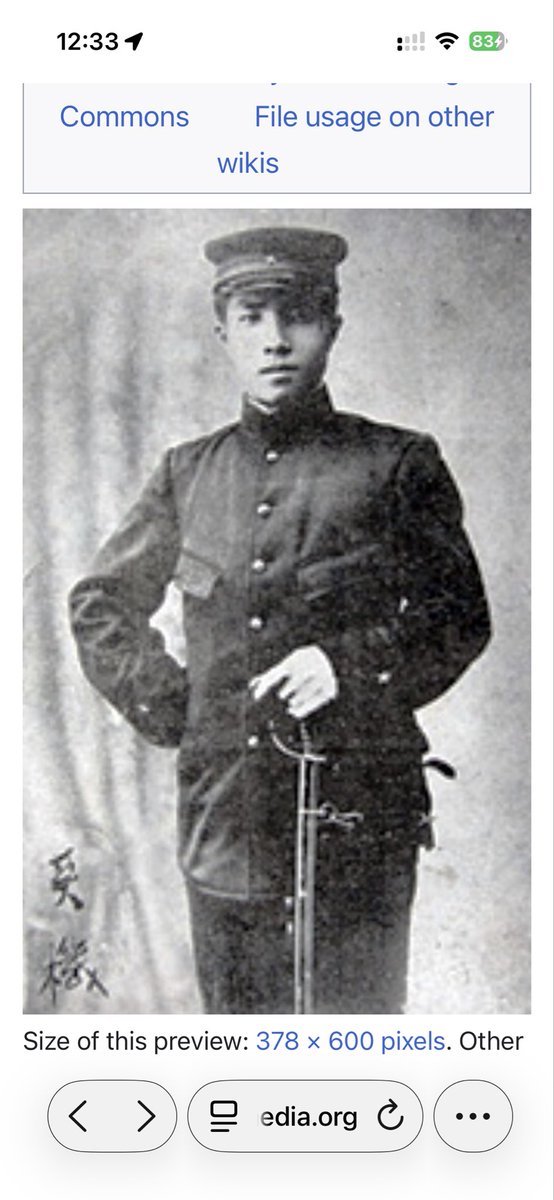 May_Roma めいろま　谷本真由美 tweet media