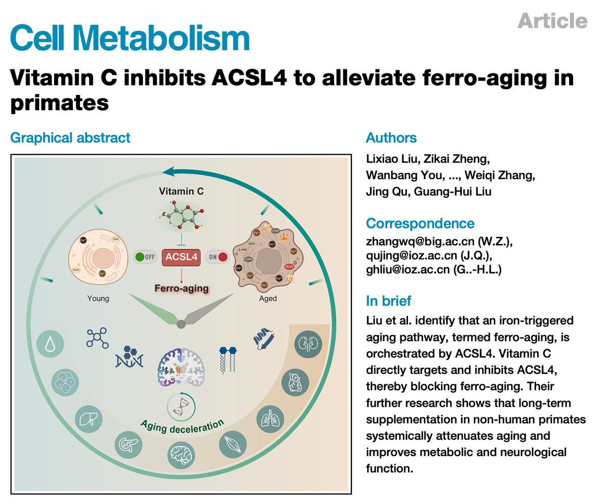 Nick Norwitz MD PhD tweet media