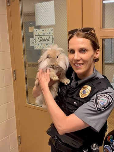 Sioux Falls Police tweet media