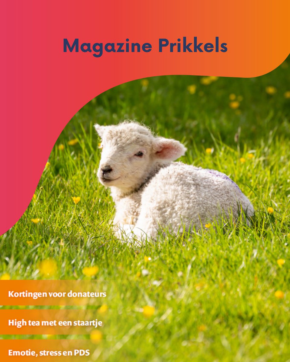 PDS Belangenorganisatie tweet media