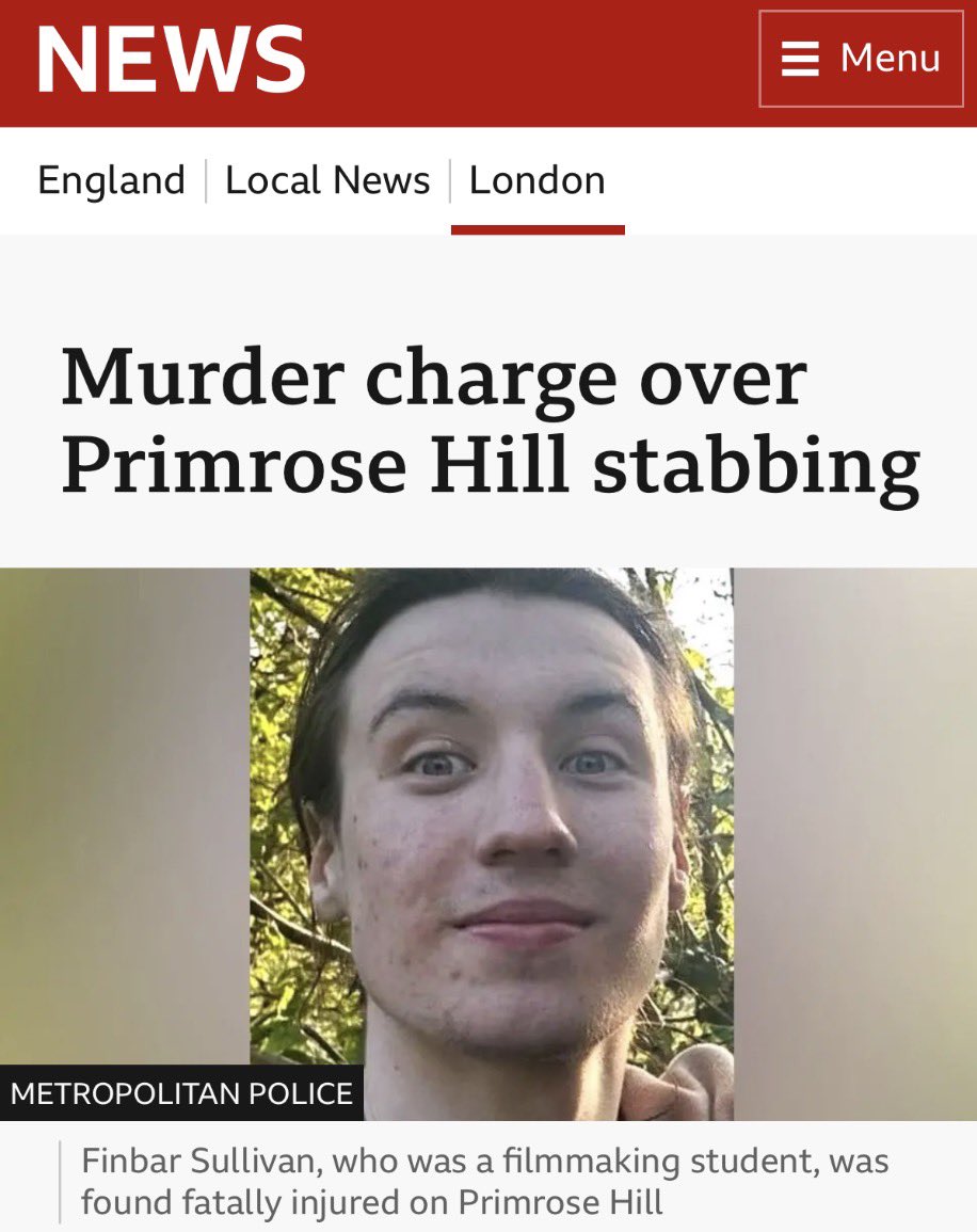 Wolf 🐺 tweet media