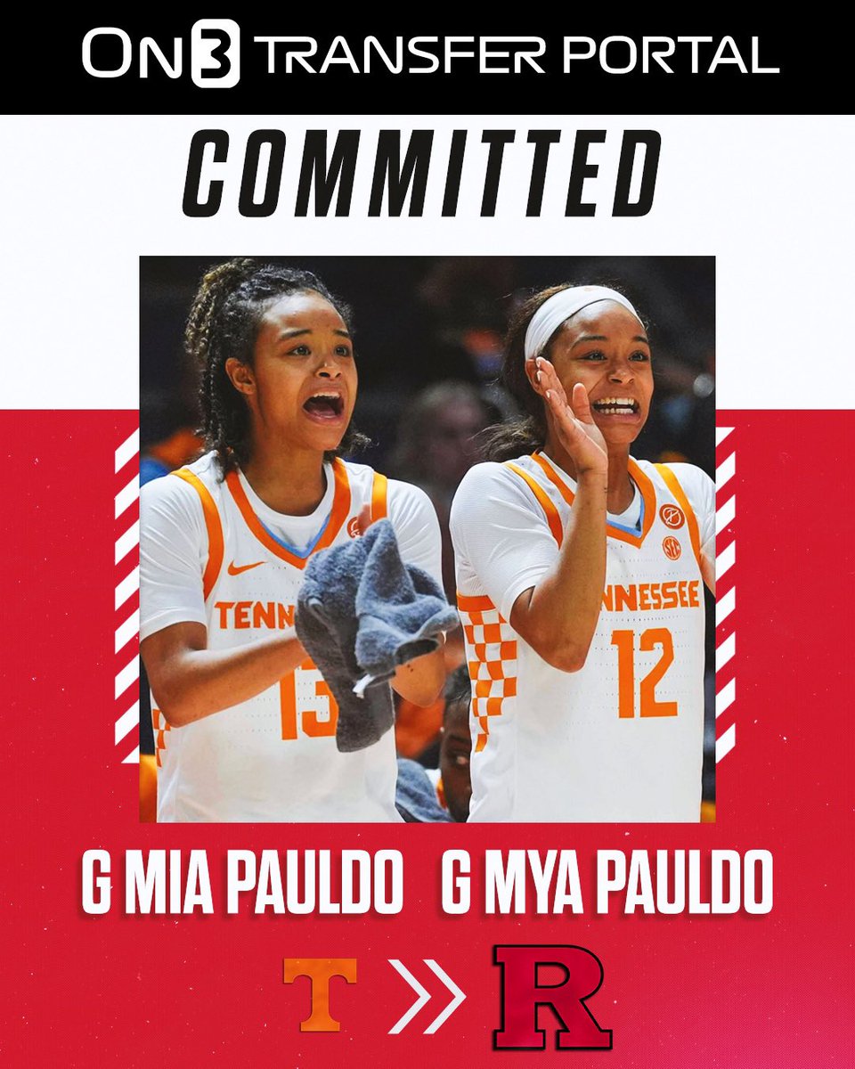 Talia Goodman tweet media