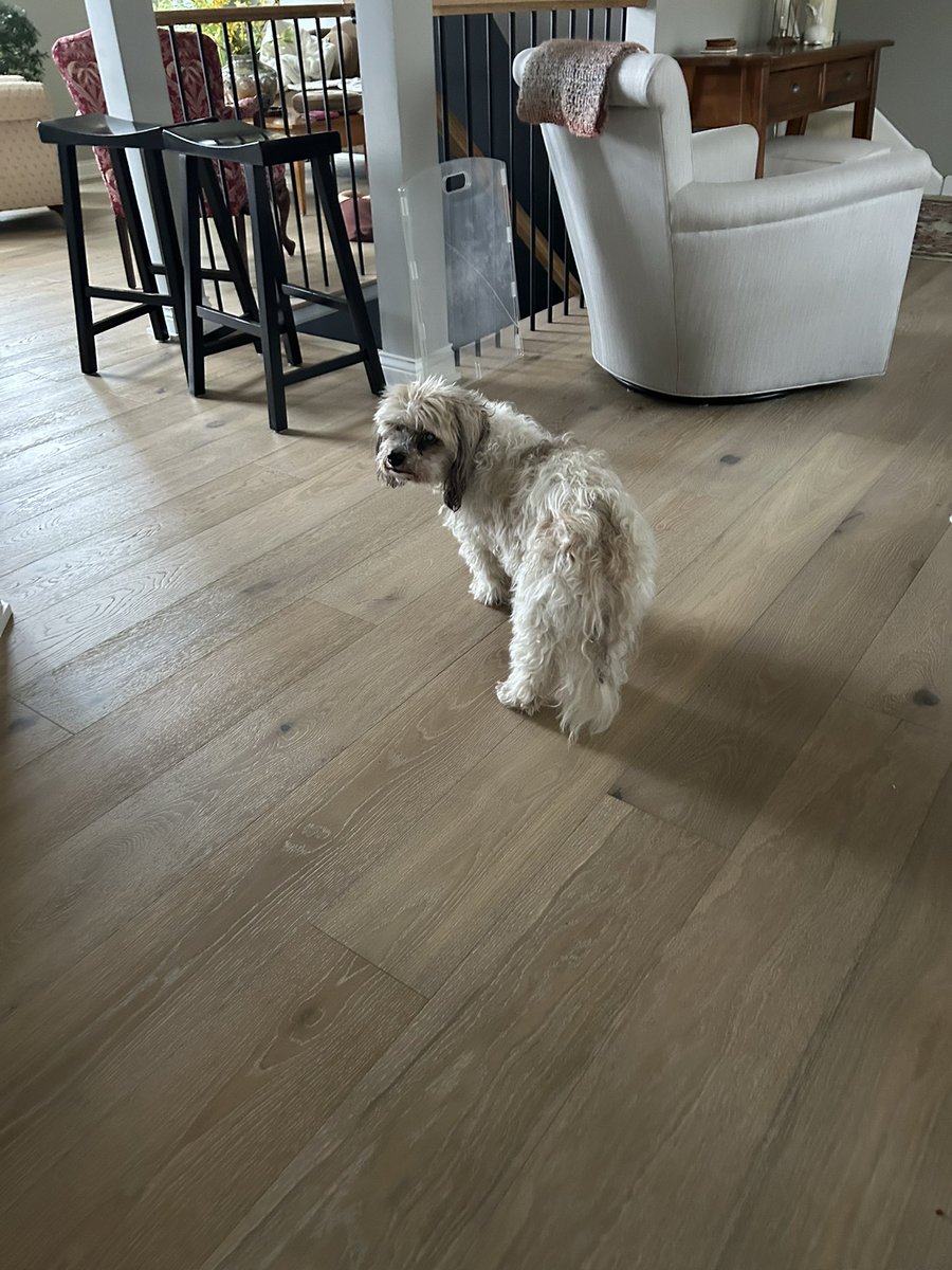 Mike Mussman tweet media