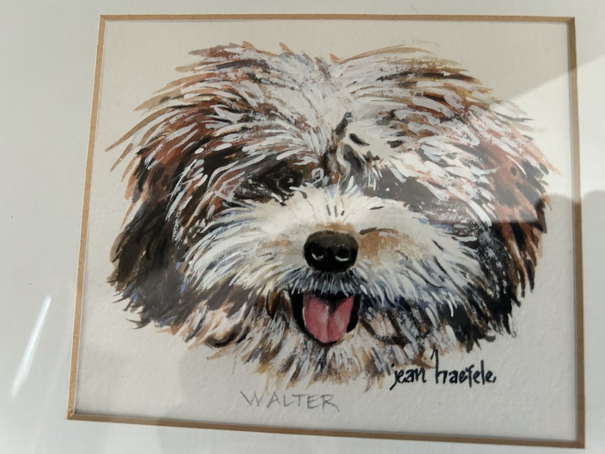 Mike Mussman tweet media