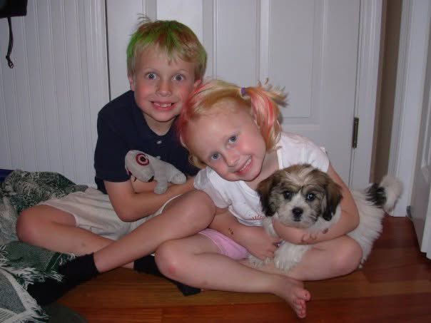 Mike Mussman tweet media