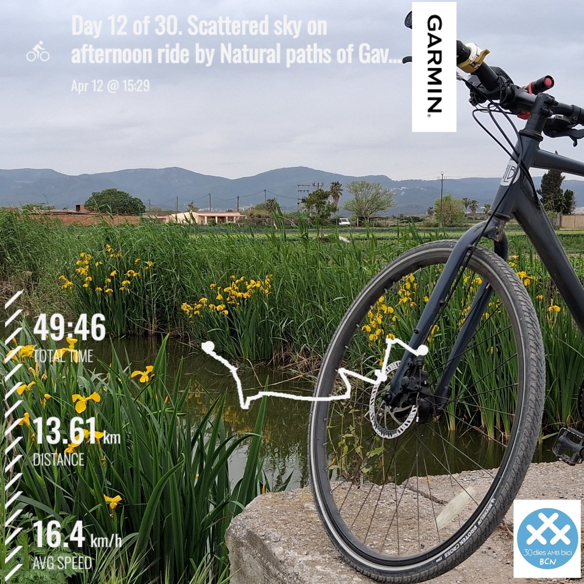 jairoalonso tweet media