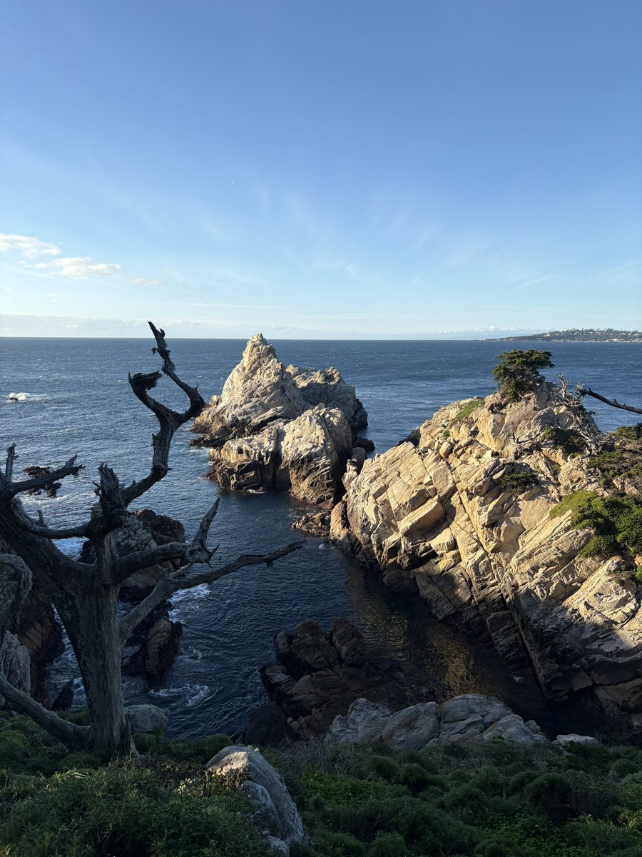 Zeus Esparza tweet media