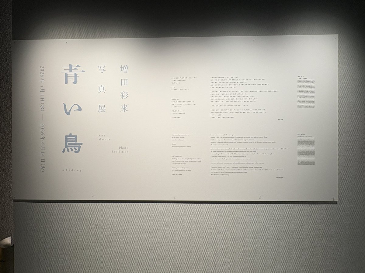 chinya_sv's tweet photo. 青い鳥展に行きました🕊️
お伺いした時は他に人がいらっしゃなかったのに、見入ってたら混んできていました
映画を思い出してほろりとしながら写真集を買い、お家に帰って写真集を見てほろり
雪だるま可愛かったです⛄️ https://t.co/3e5XbLuQbV