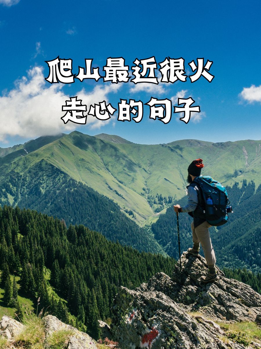 ZhaoJin13 tweet media