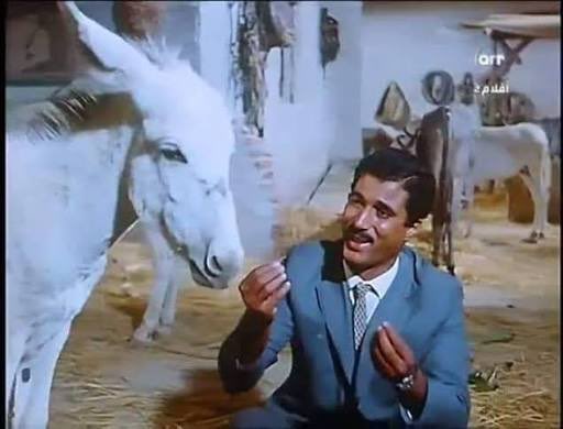 أبومحمد tweet media