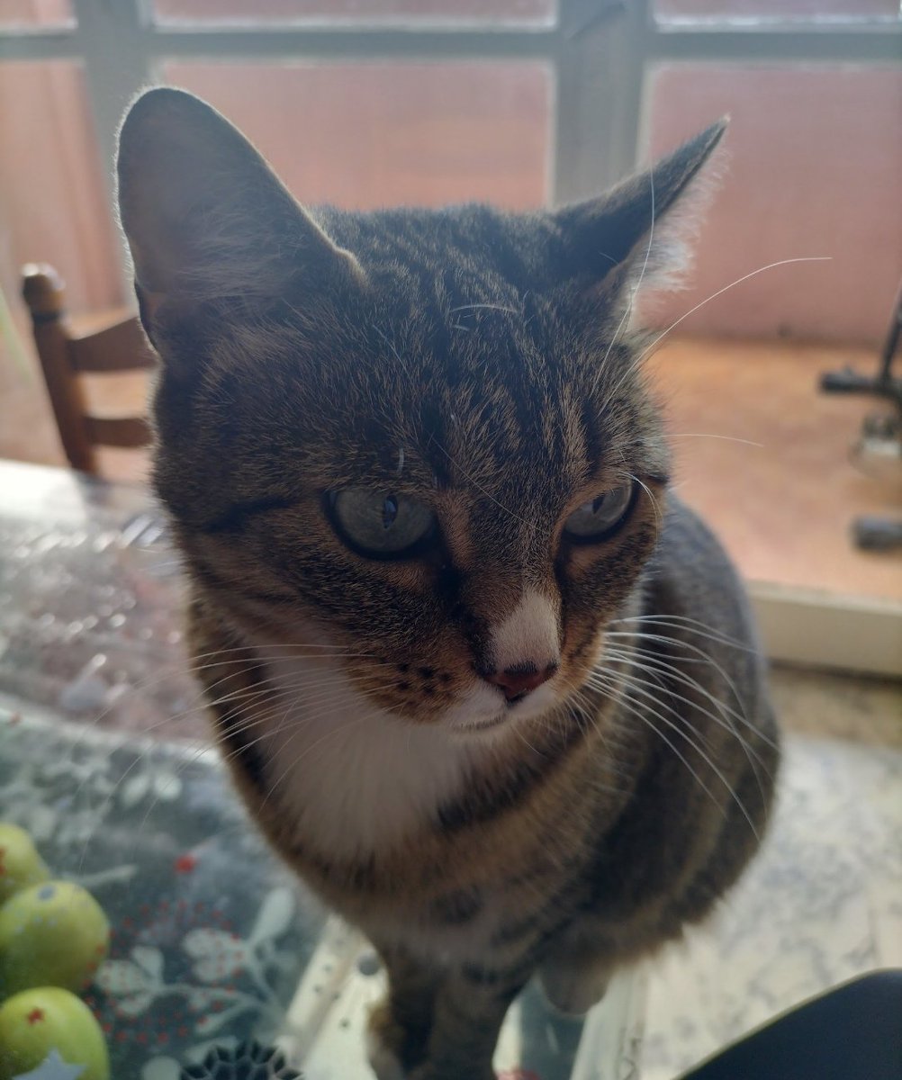 Edgar ⛪♱🎧 tweet media