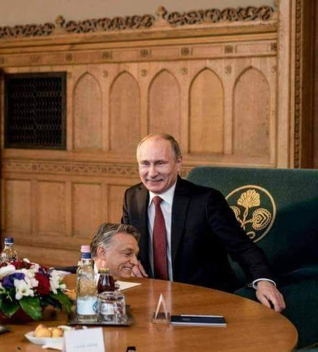 HyperFella 🇳🇴 🇺🇦 tweet media