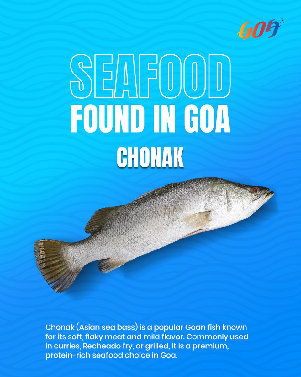 TourismGoa's tweet photo. 👉 Save this for your Goa food guide
👉 Tag your foodie gang &amp; plan your next seafood binge
.
.
.
#GoaFood #SeafoodInGoa #GoaEats #TasteOfGoa #Foodstagram https://t.co/5ey1gQzFrw