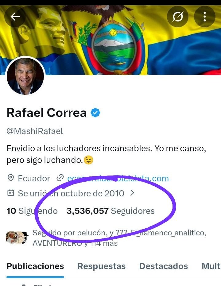 𝗠𝗲𝗺𝗲𝘀 𝗗𝗲𝗹 𝗠𝗶𝗷𝗶𝗻 tweet media