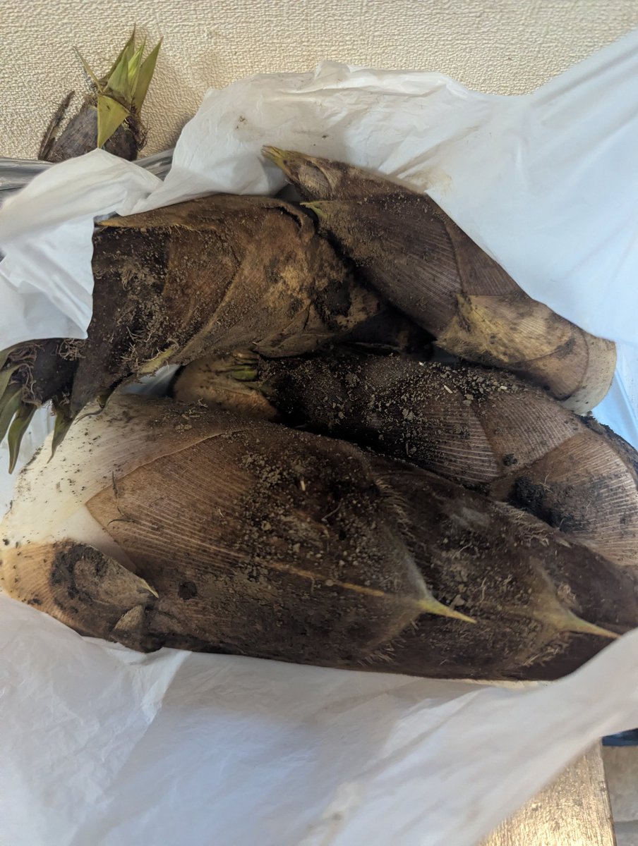 しきね文裕＠佐倉市議会議員 tweet media