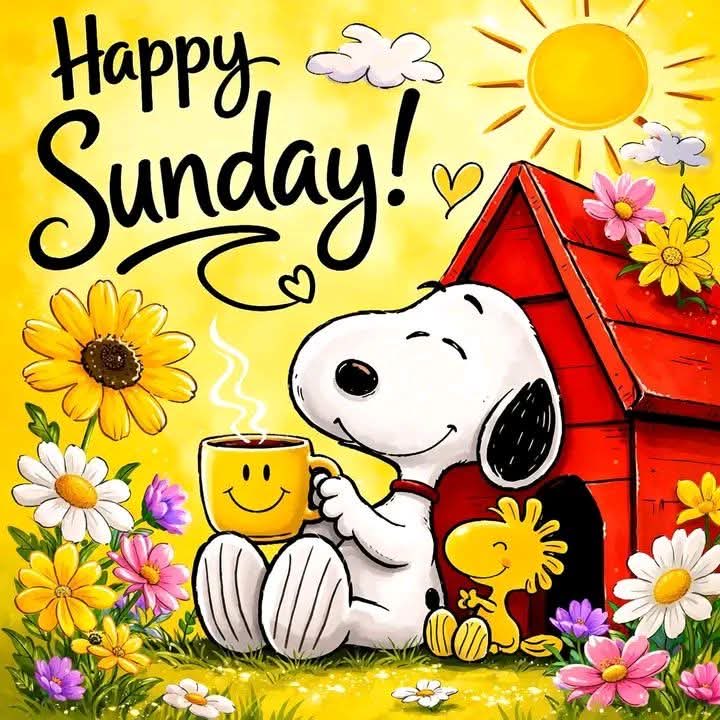 joanie_tweet's tweet image. Good Sunday Morning! 
May Your Day Be Filled With Love and Lots of Smiles Too.
That is What I Pray this Day Brings to Each and Every One  of You! 😊❤️🙏🏻🤗
#Love #Smiles #SundayVibe
#SundayFeeling