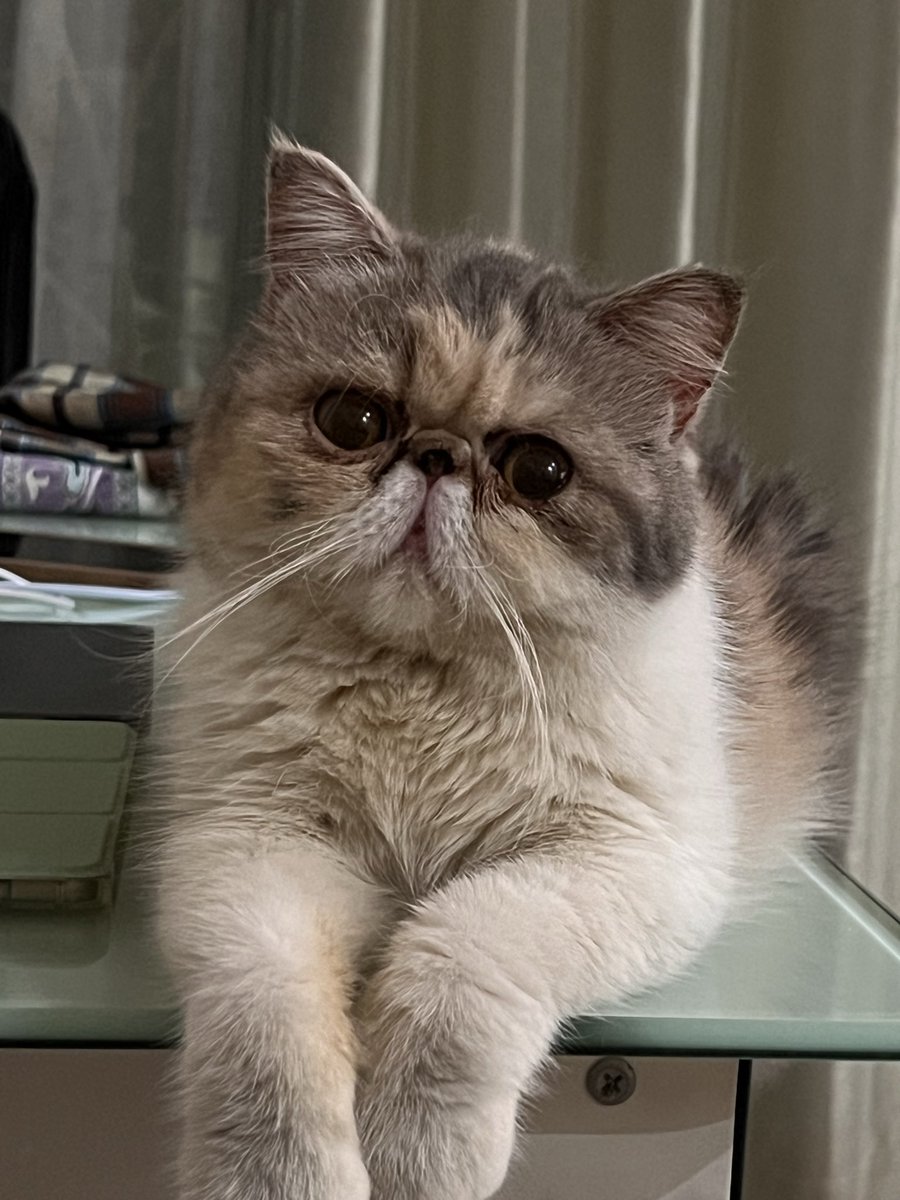 ~ iyung ~ tweet media