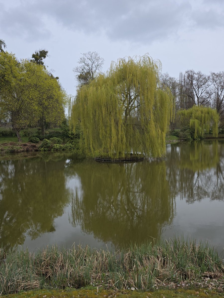 Stephan Luering 🇩🇪 tweet media