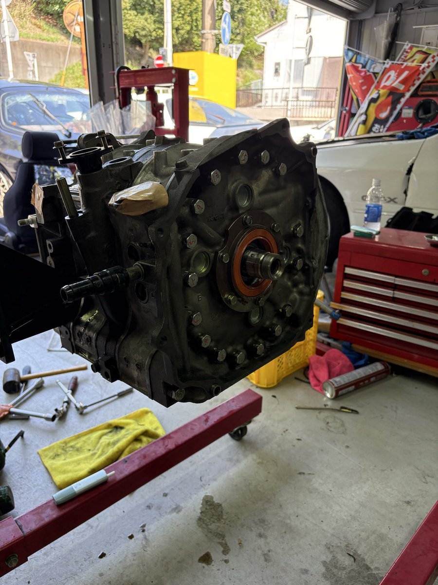 七色猫🐱 tweet media