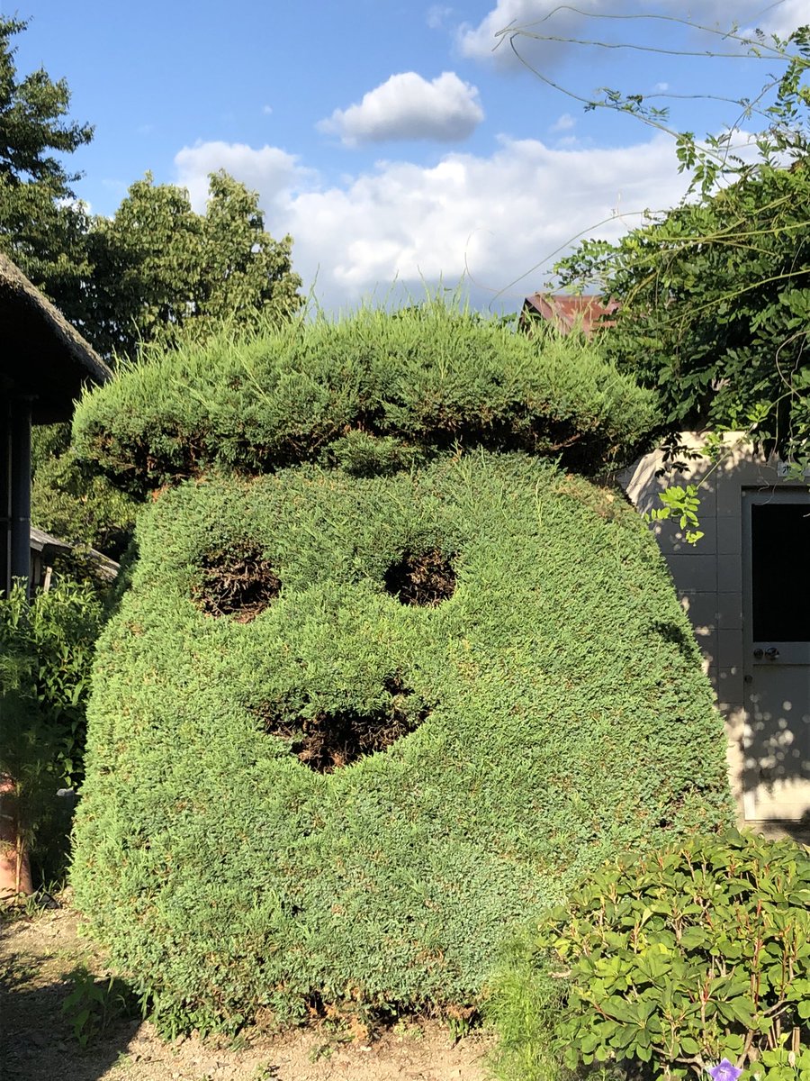 ミニ四駆 サムカワサーキット tweet media