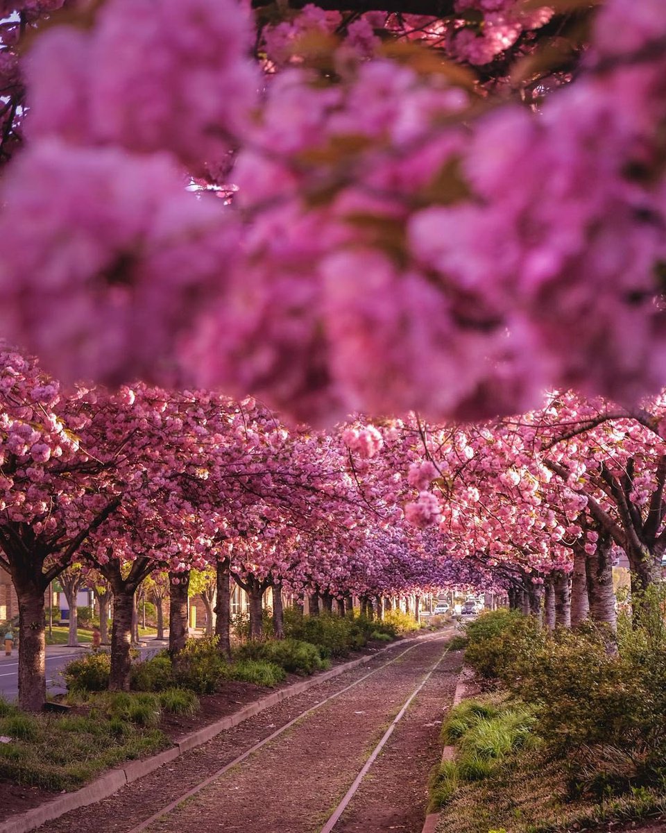 Jeanette tweet media