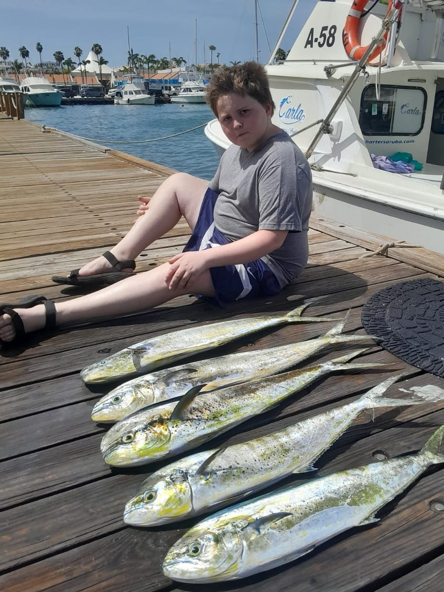 Charters Aruba tweet media