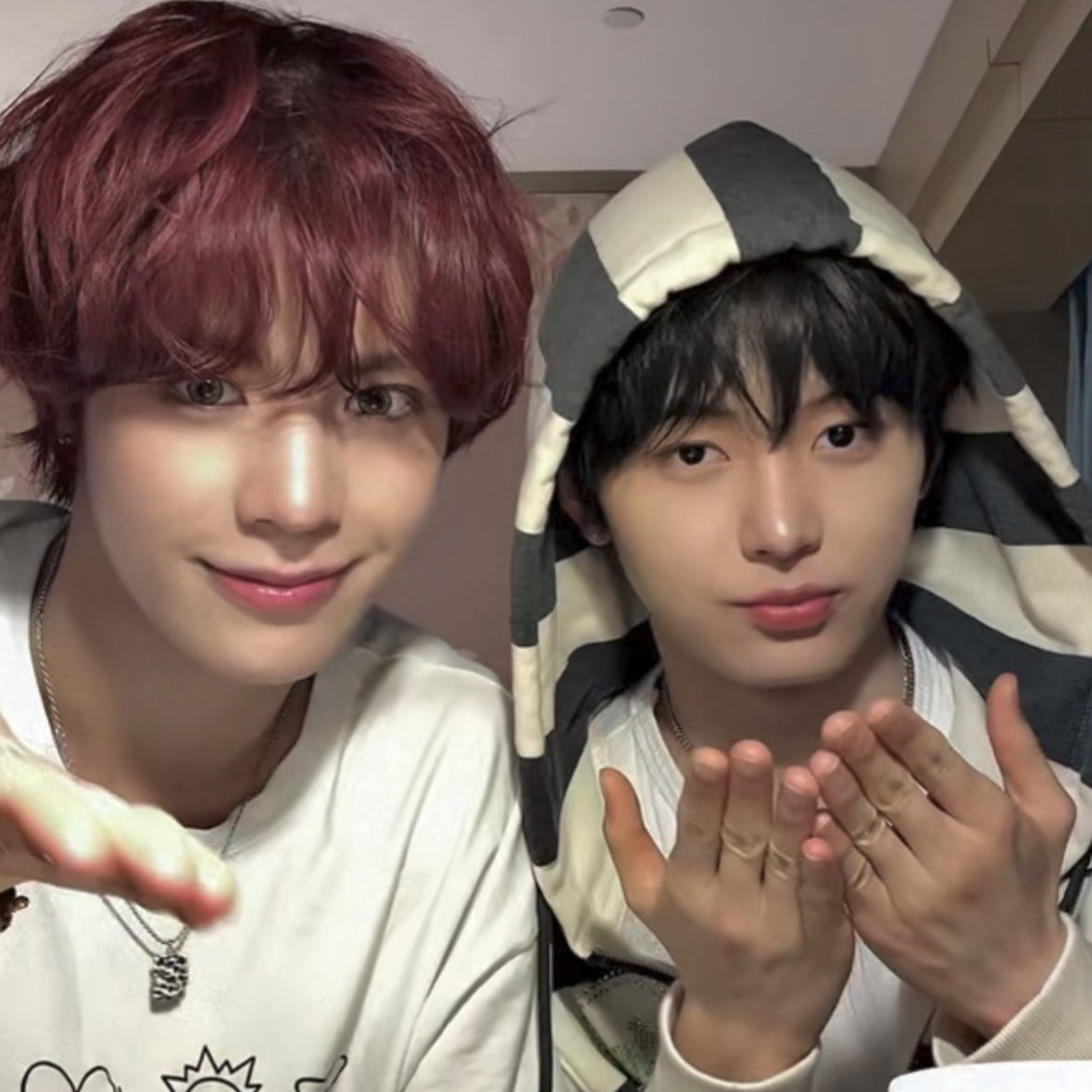 l_im_LINLIN's tweet image. 小狗小猫今天也超可爱🐶🐈‍⬛🤍
#NouerA #FAN #LIN