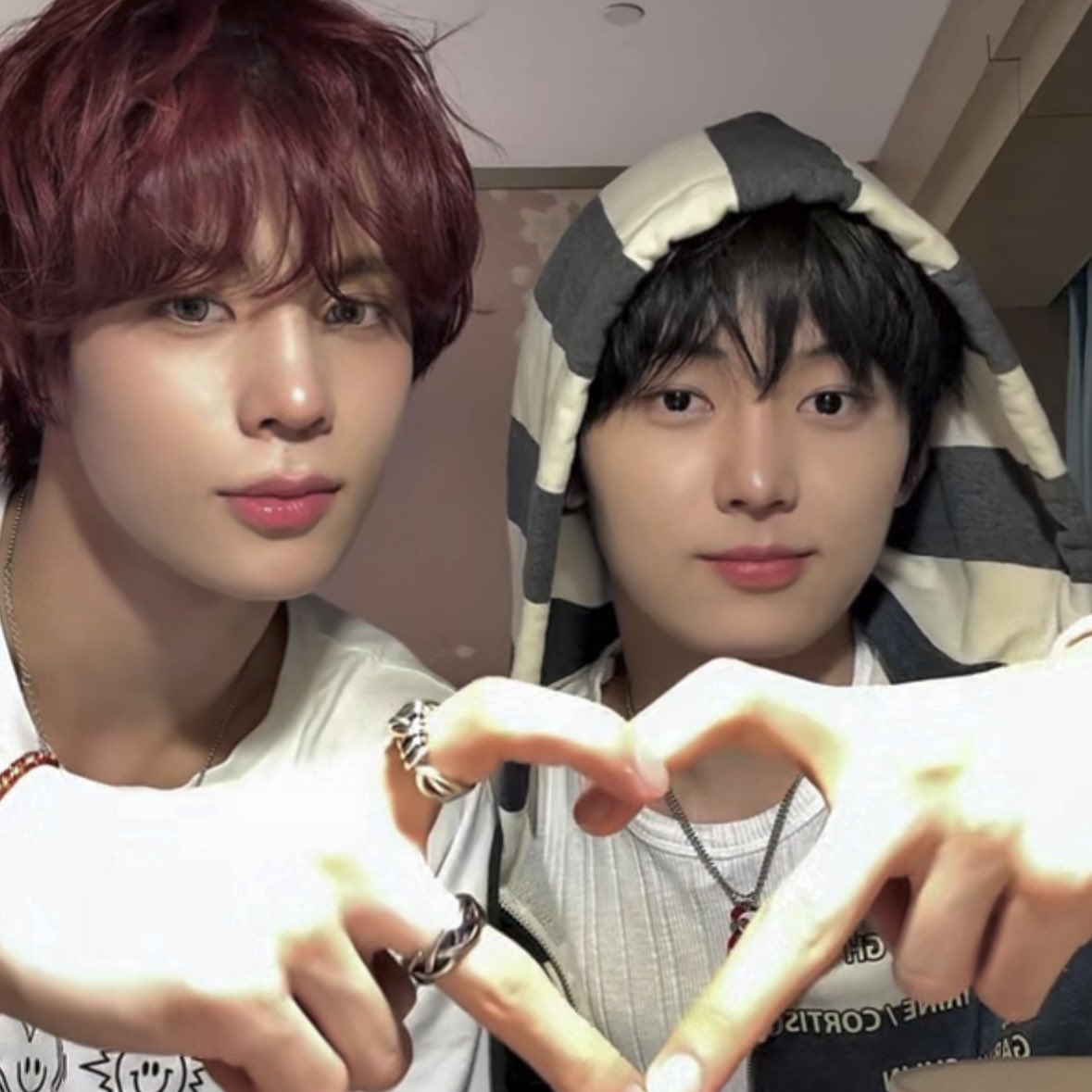 l_im_LINLIN's tweet image. 小狗小猫今天也超可爱🐶🐈‍⬛🤍
#NouerA #FAN #LIN