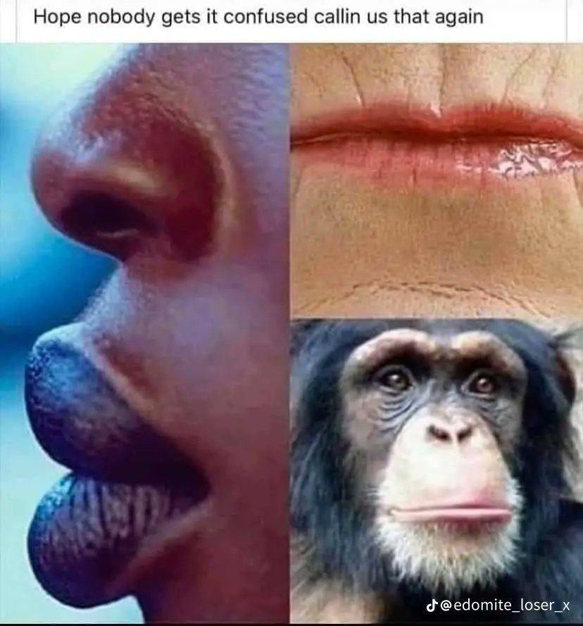 Leon Musk tweet media