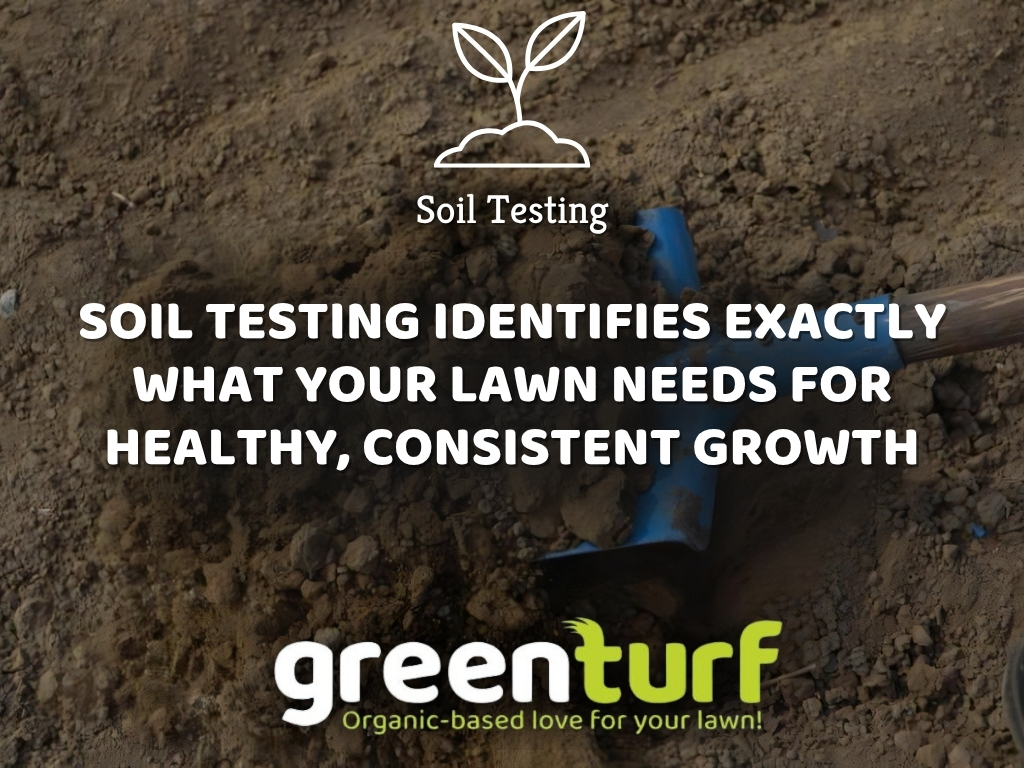 GreenTurfCT's tweet photo. Why Guessing Your Lawn’s Needs Leads to Poor Results

Wrong nutrients, poor pH, and generic treatments weaken lawns.
Soil testing removes guesswork for better results.

Check out https://t.co/neCjQfjqCA to get a customized lawn care plan with GreenTurf.
#SoilTesting #LawnCareTips https://t.co/twvHLnWvCq
