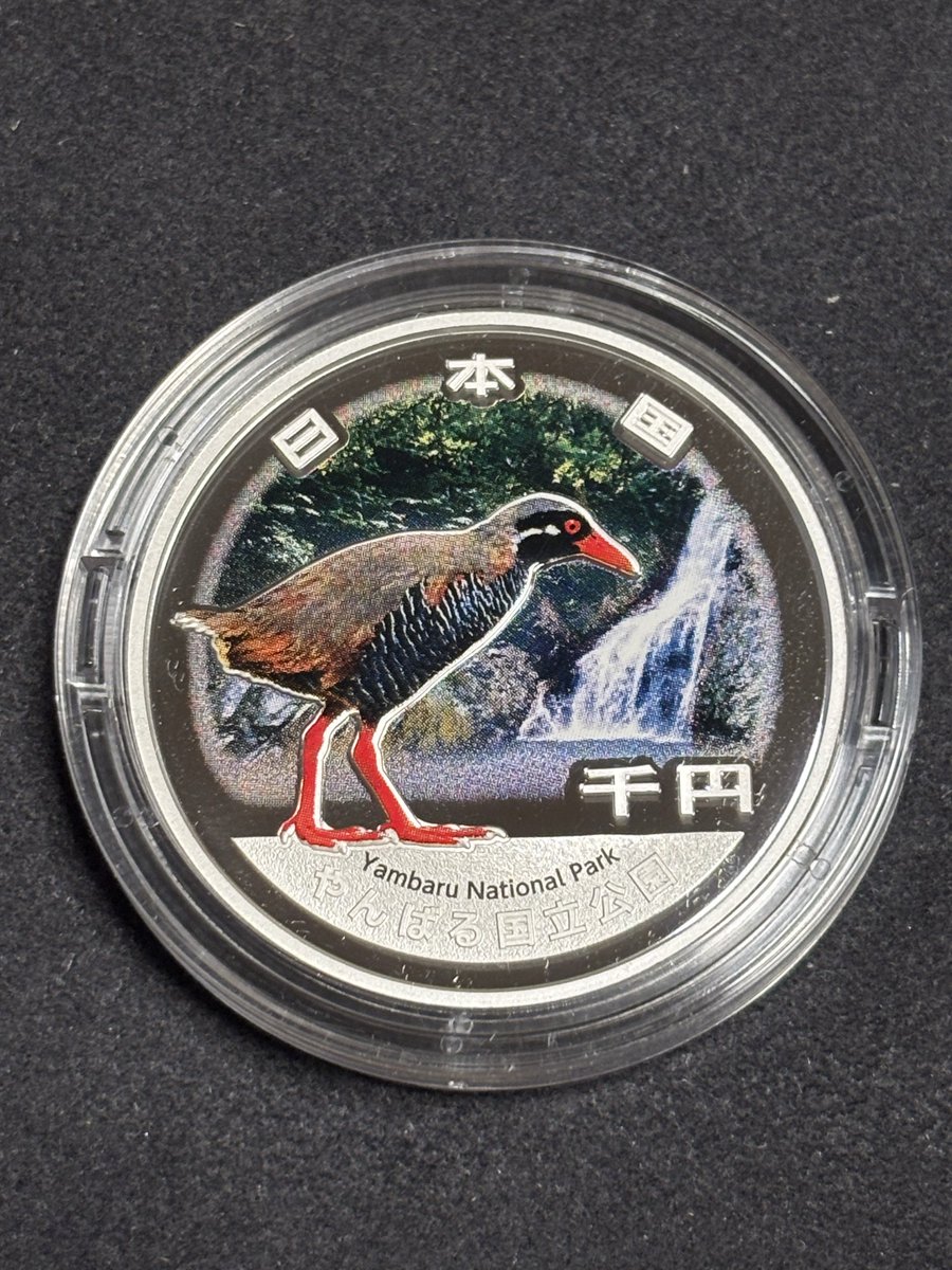 naocoin7 tweet media